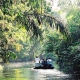 Parco Nazionale Tortuguero - Escursione in Barca
