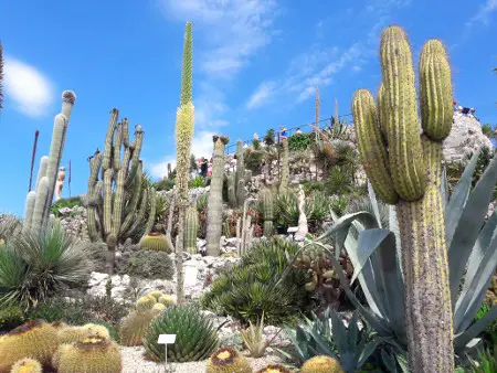 Giardino Esotico di Eze